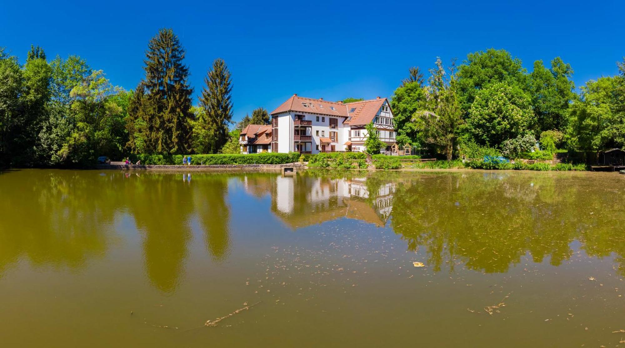 Einliegerwohnung In Einer Muehle Vor Den Toren Frankfurts, Ideal Fuer Messegaeste Oder Stop Over Dreieich Buitenkant foto